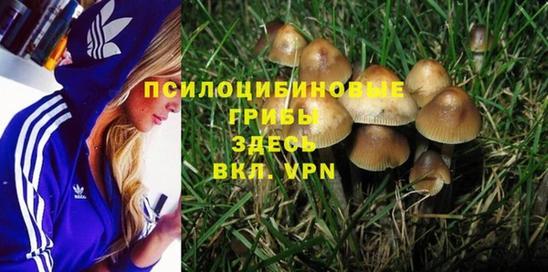 соль ск Навашино