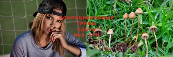 ALPHA-PVP Михайловск