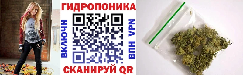 Конопля Bruce Banner  Купить где  Ардатов 